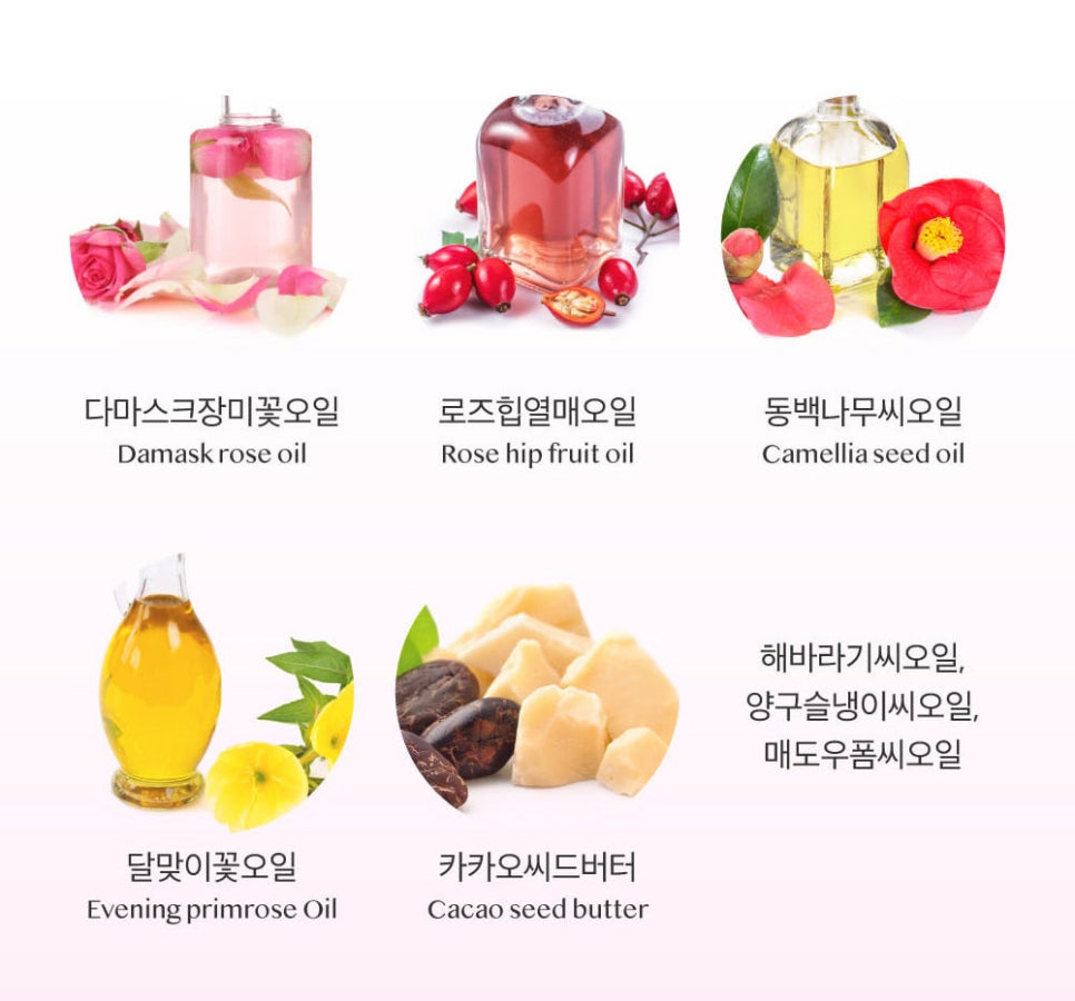 엔비문 이미지