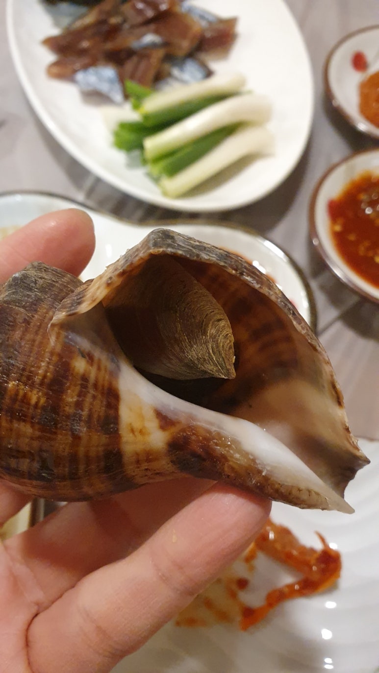새통영다찌 이미지
