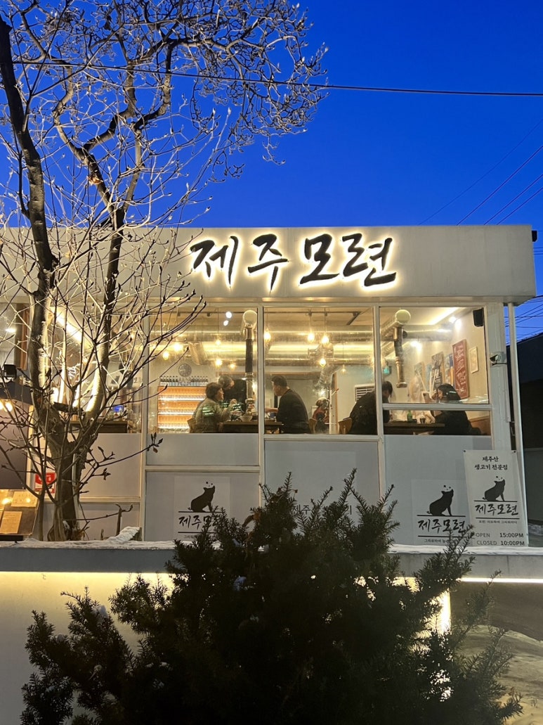 제주모련 이미지