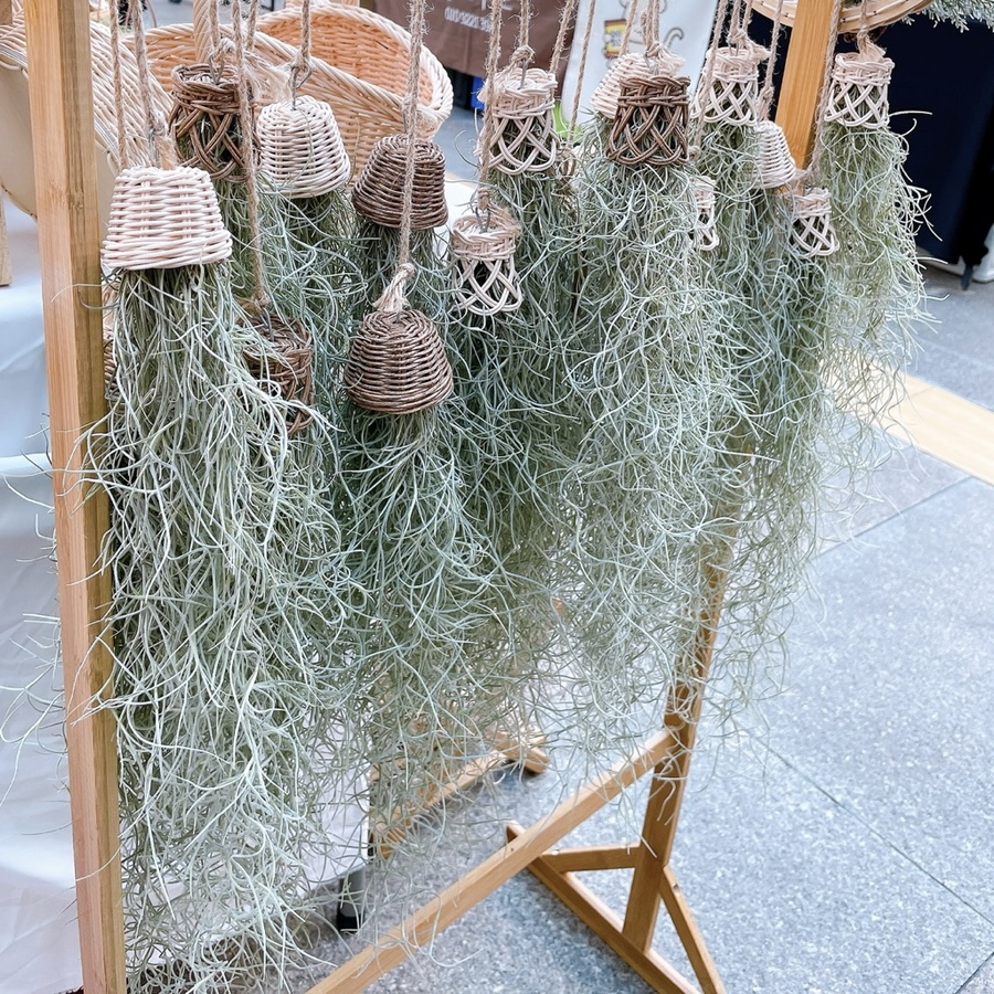라탄쿠쿠 이미지
