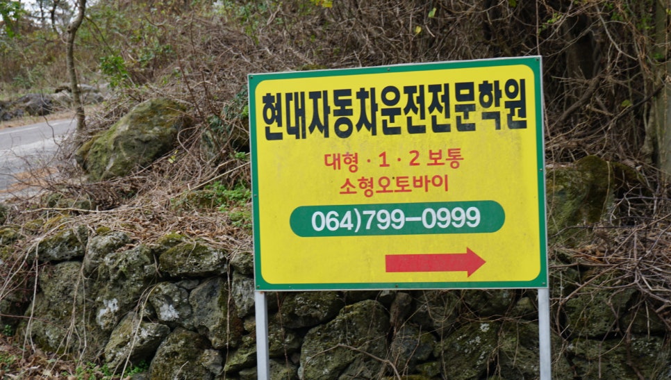 현대자동차학원 이미지