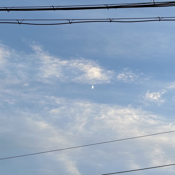 리핏점핑 이미지