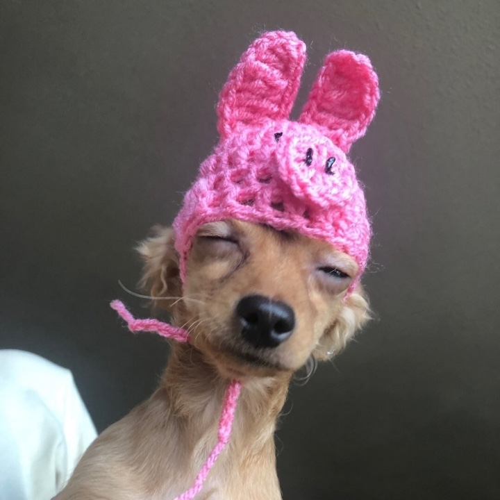 진짜 이미지