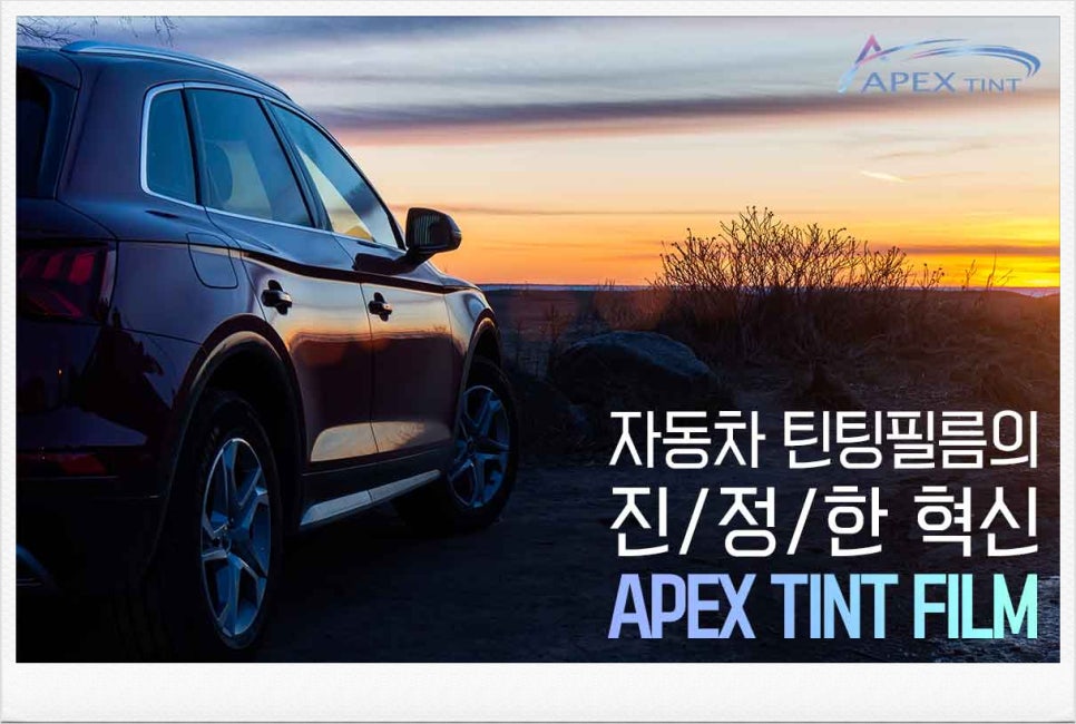 에이펙스글로벌 이미지