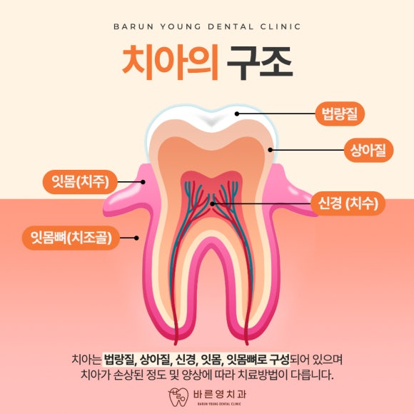 영치과 이미지