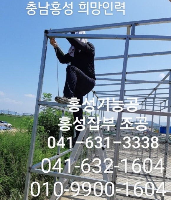 홍성직업소개소 이미지