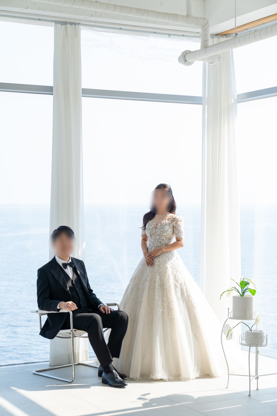 블랑드엘라 이미지
