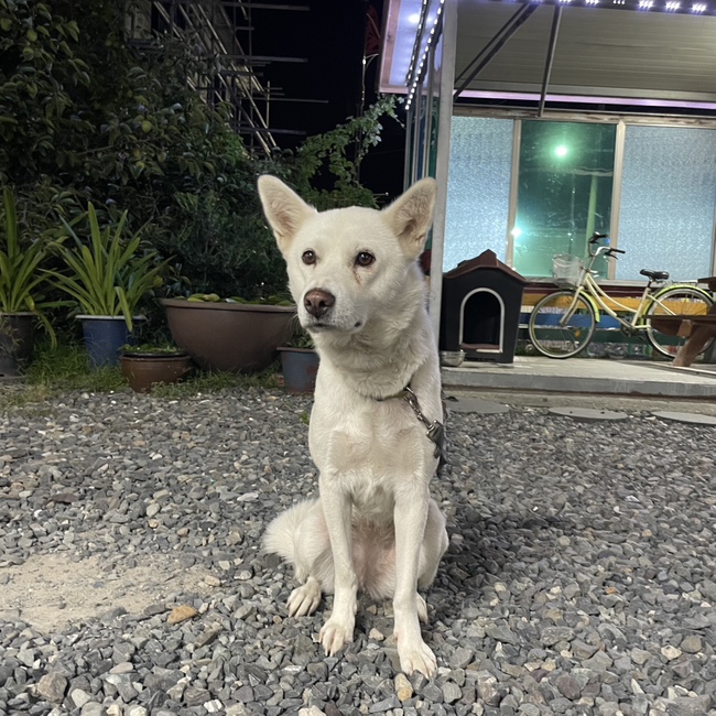 강풍횟집 이미지