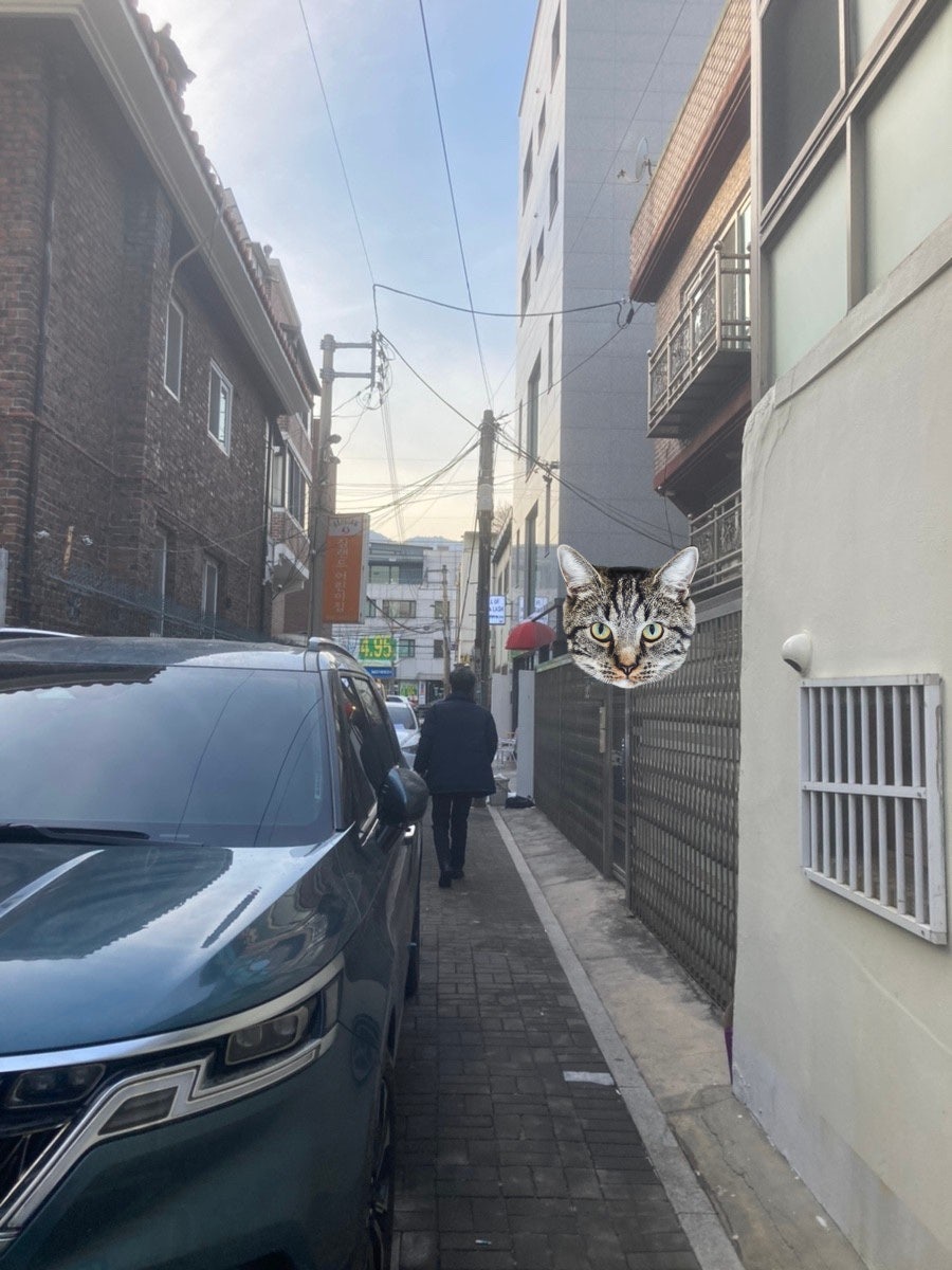풀오브네일 이미지