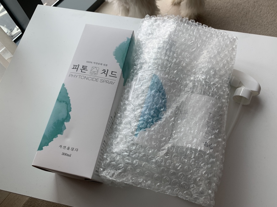 차칸가게 이미지