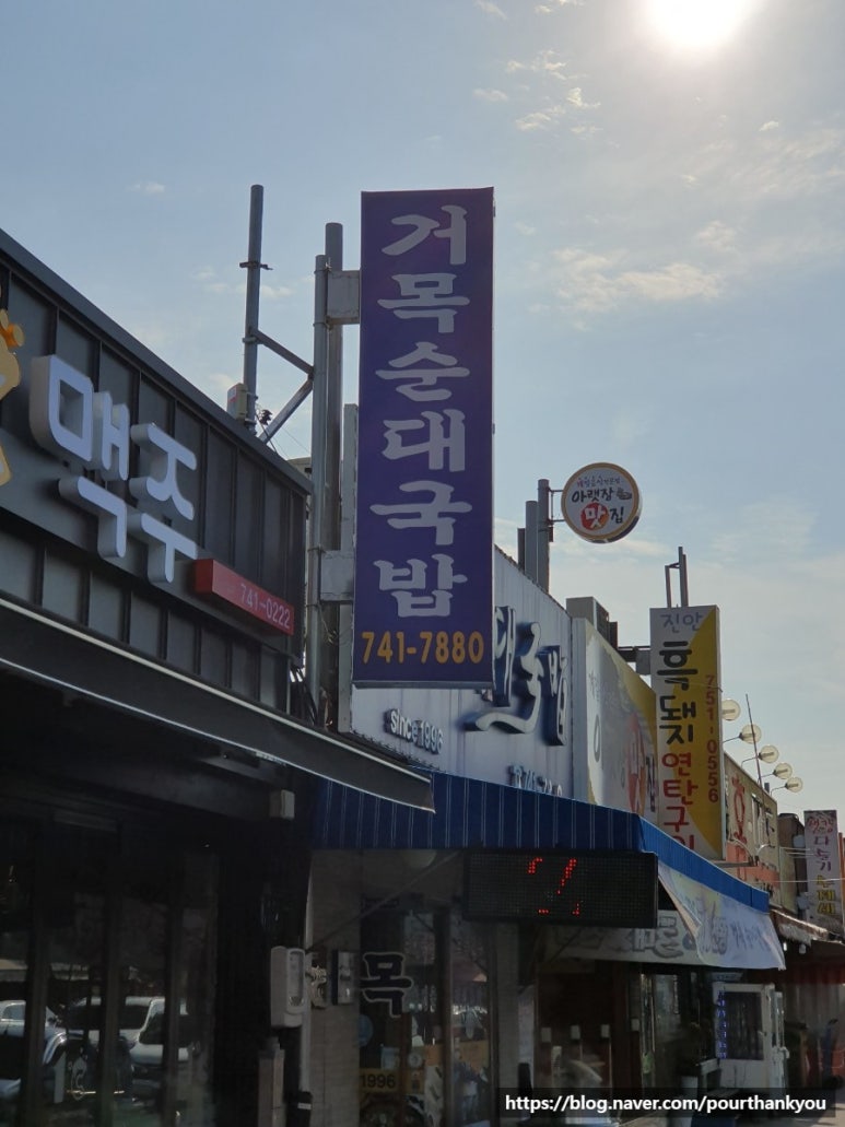 거목투어 이미지