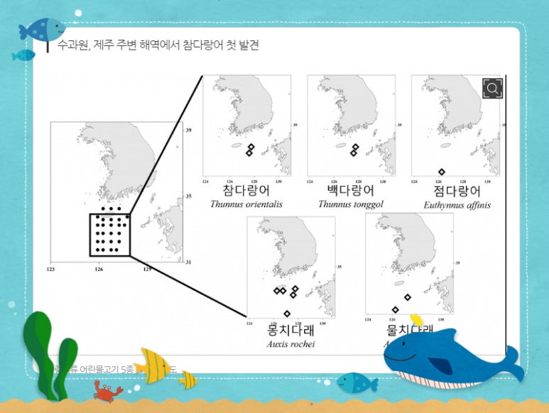독도애참치 이미지