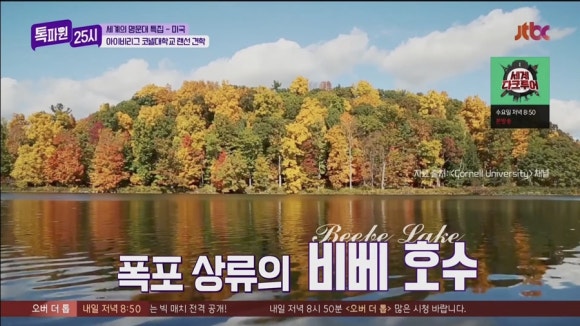 아이비투어(주) 이미지