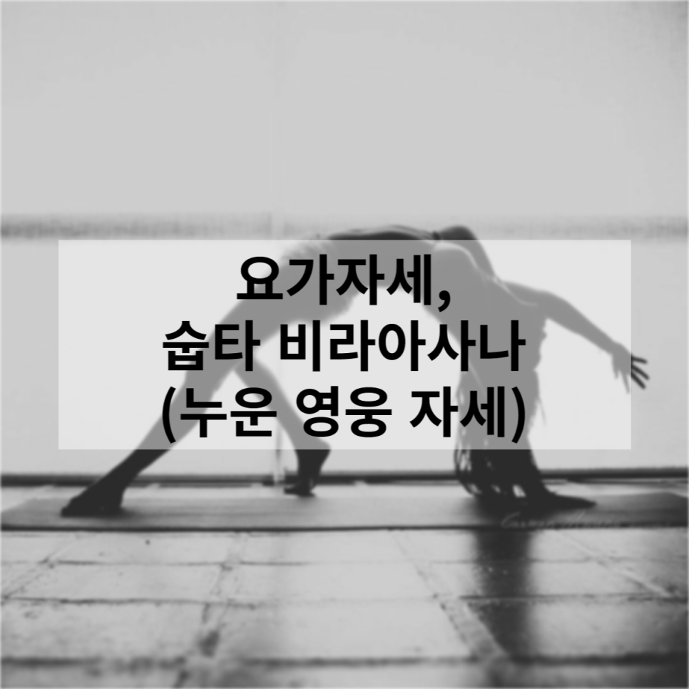 비라(VIRA) 이미지