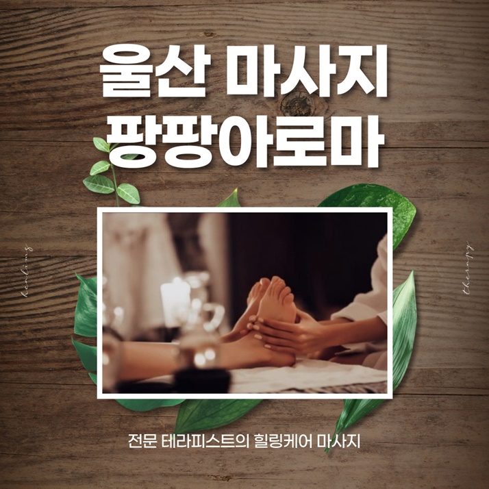 팡팡테라피 이미지