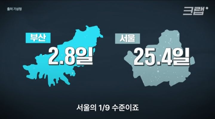 피쏘 이미지