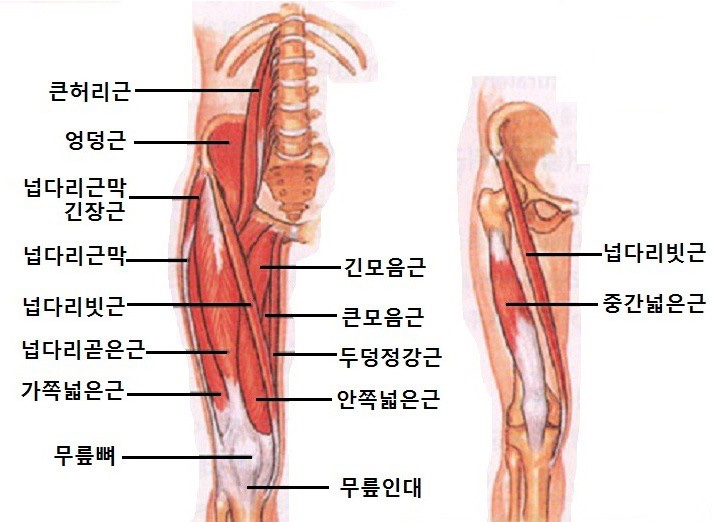 베스트짐 이미지