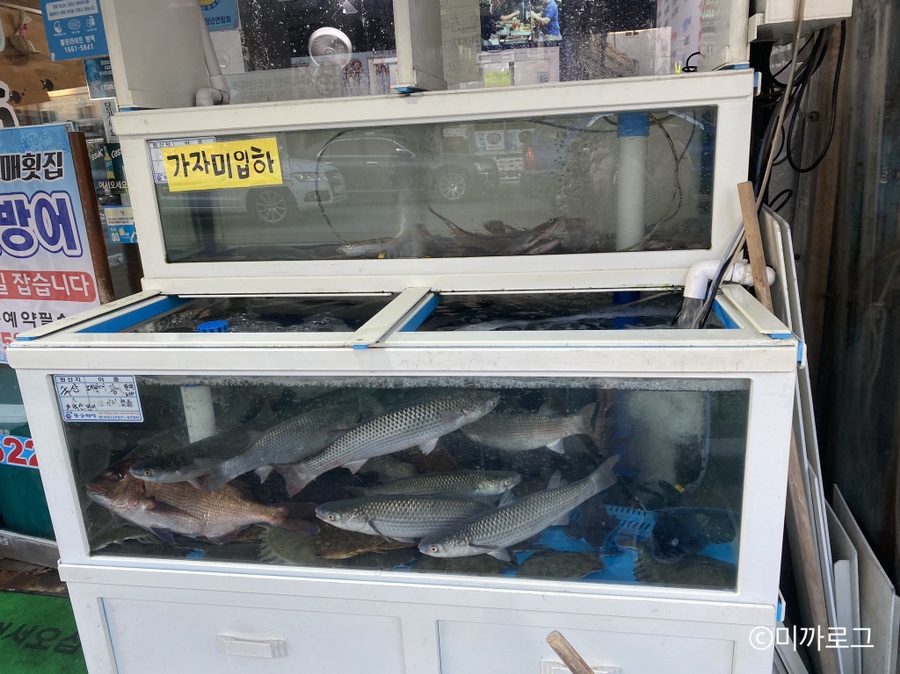 덕수도매횟집 이미지