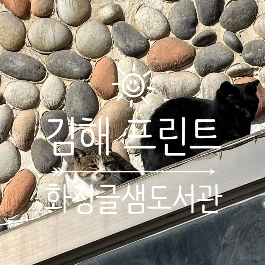 도토리스터디카페 이미지