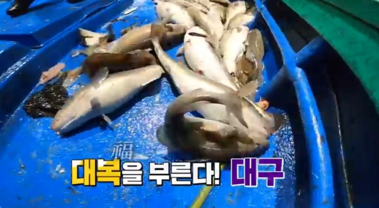 대구횟집 이미지