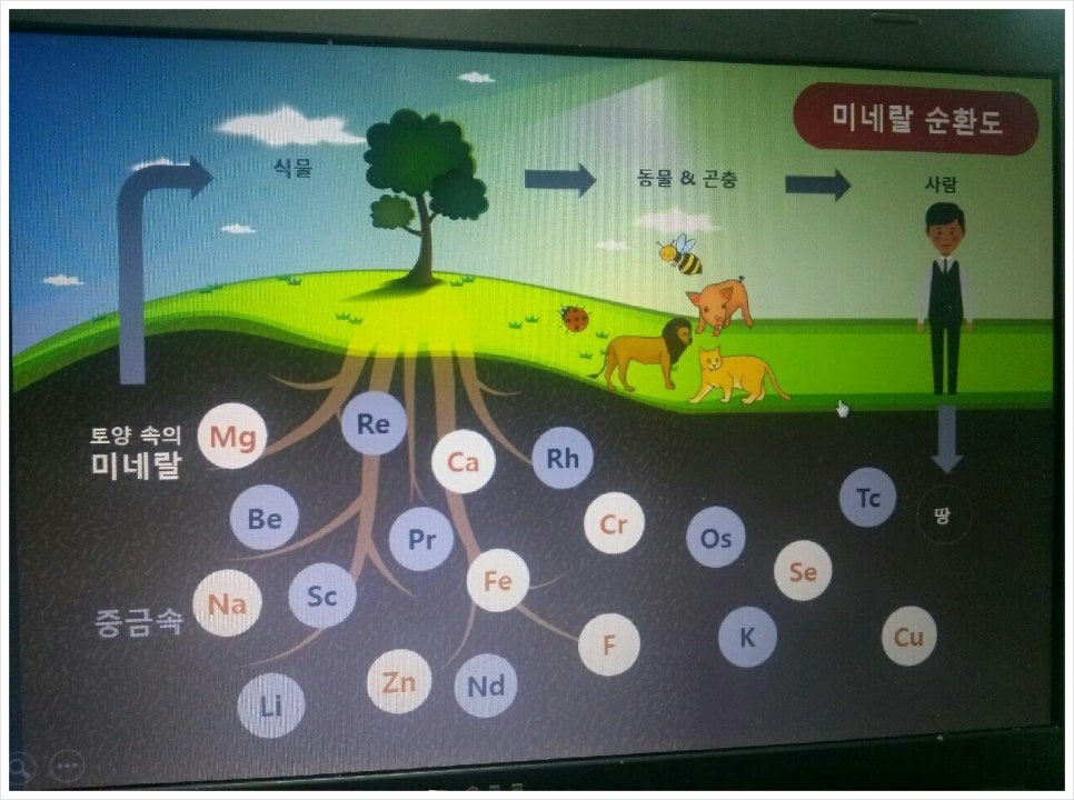유디아미네랄 이미지