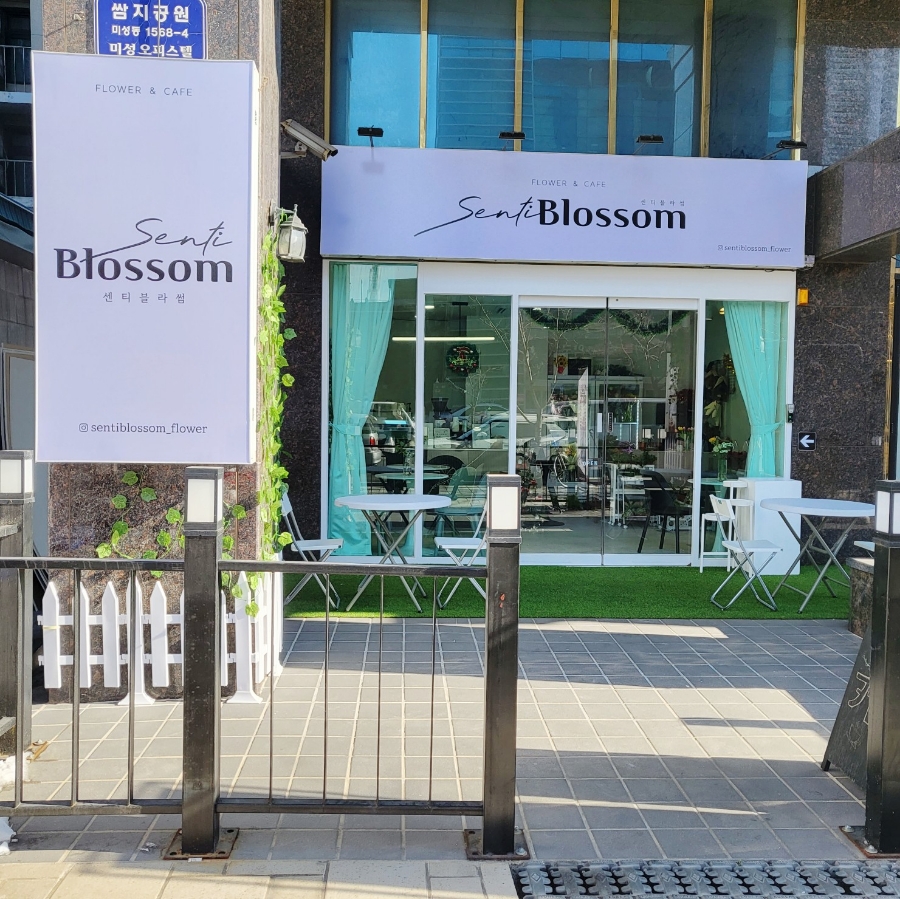 센티블라썸 이미지
