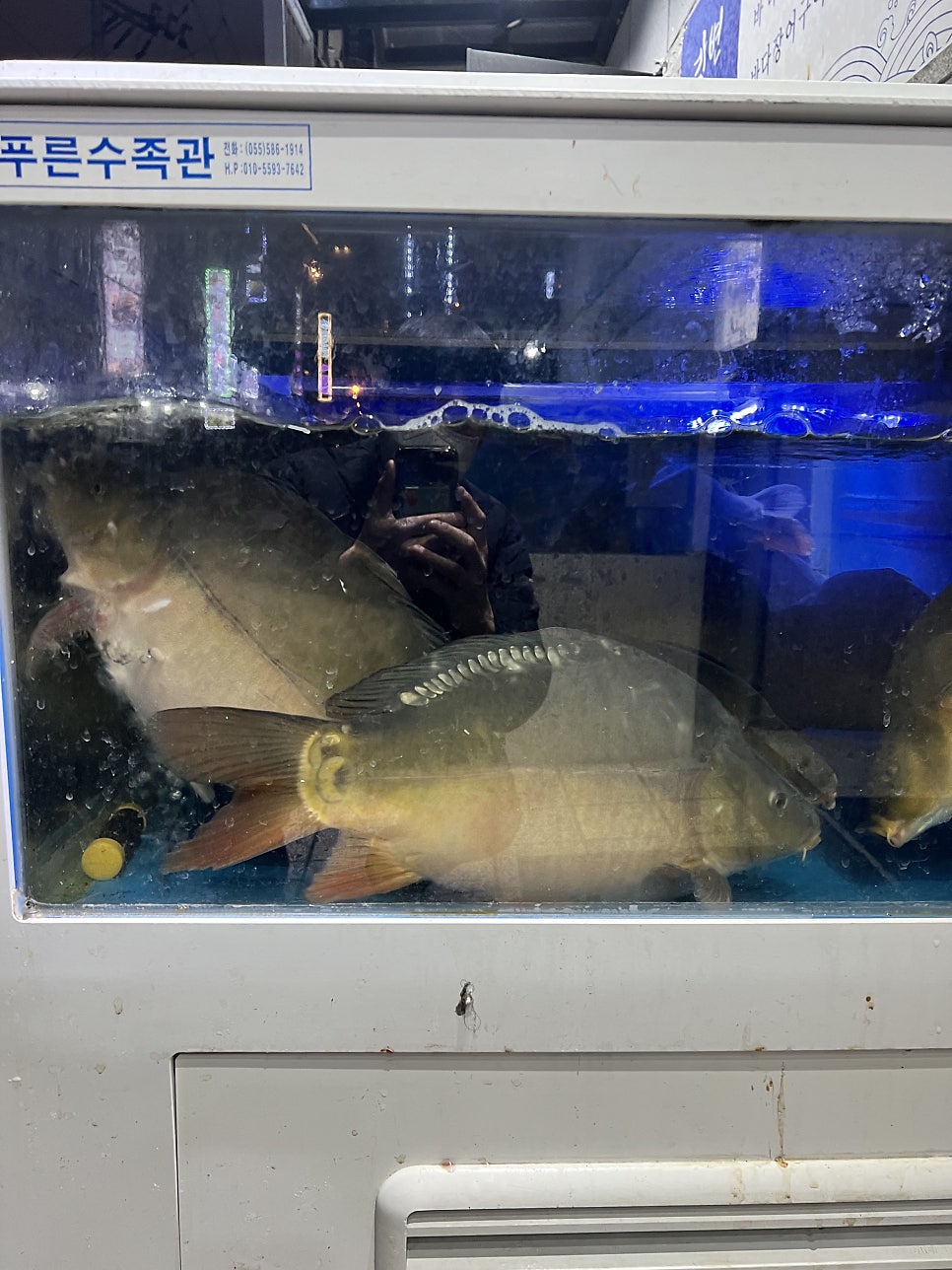 남지강변횟집 이미지