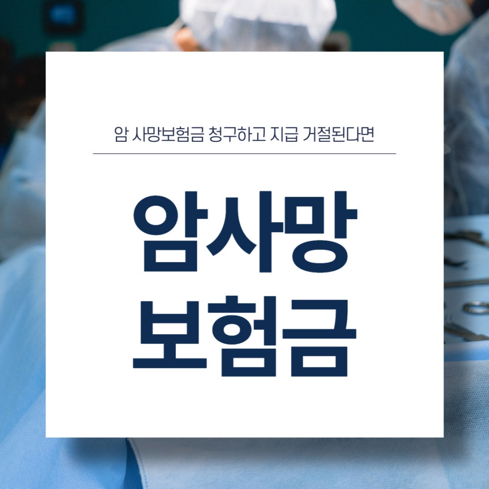 법무법인모악부안분사무소 이미지