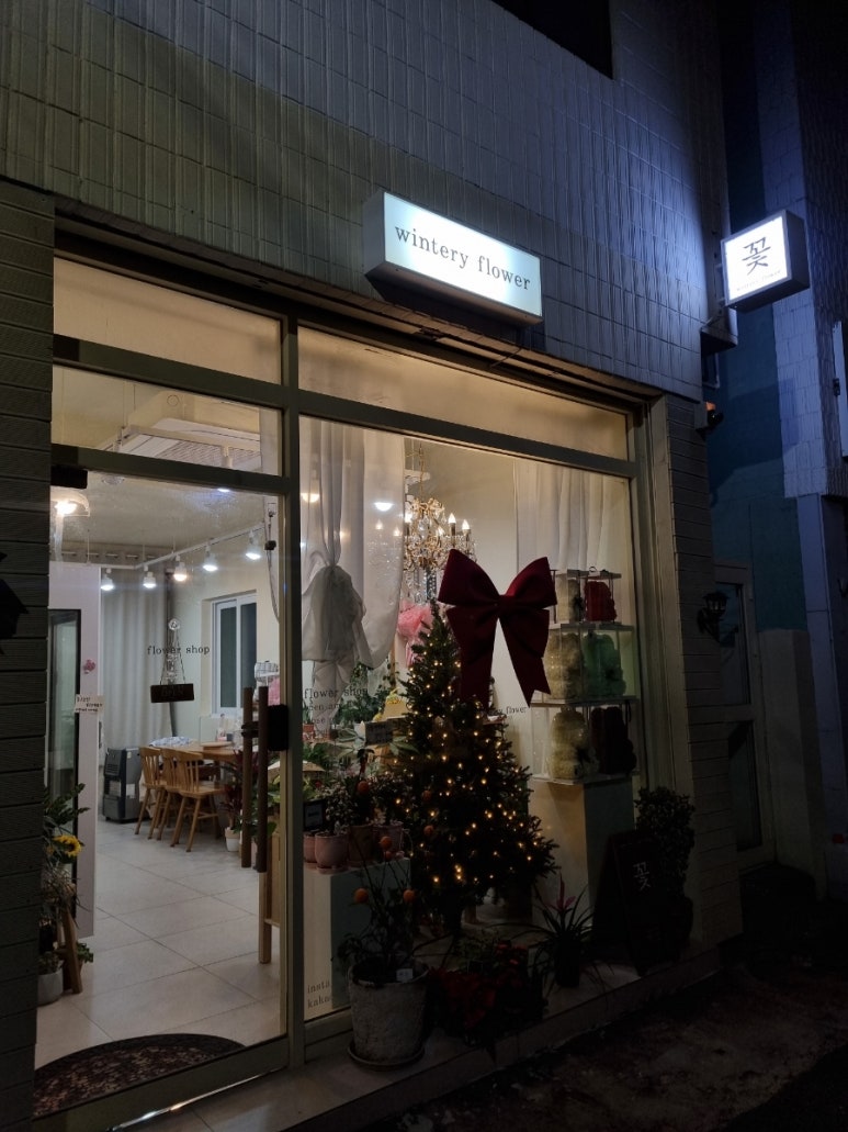윈터리플라워 이미지