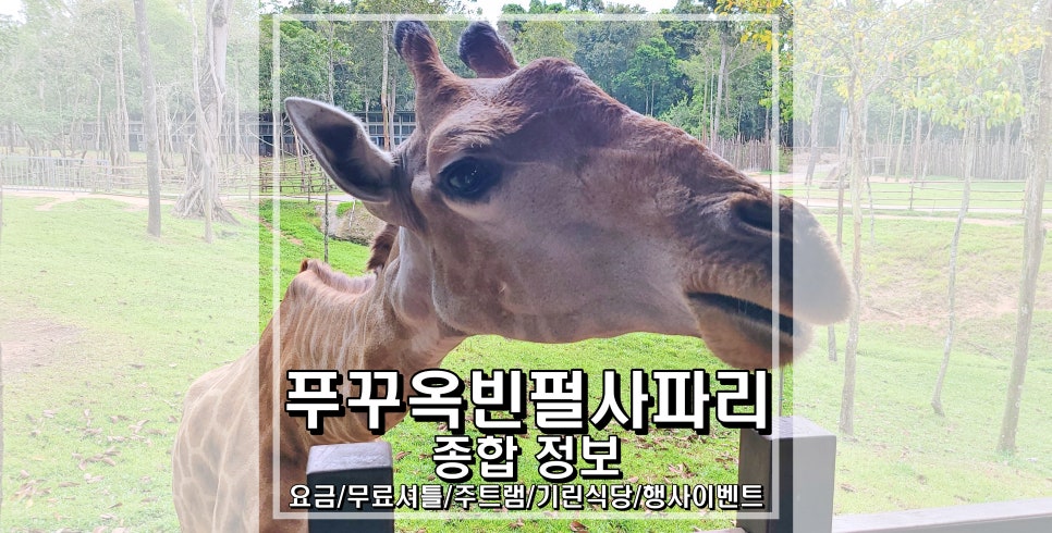 (주)코끼리투어 이미지