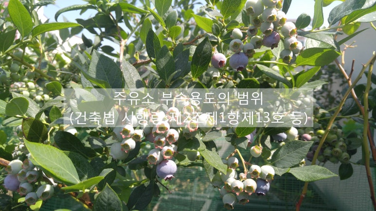 호마주유소 이미지