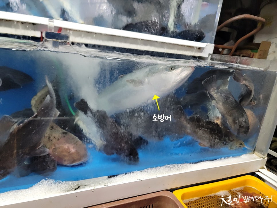 미정식당 이미지