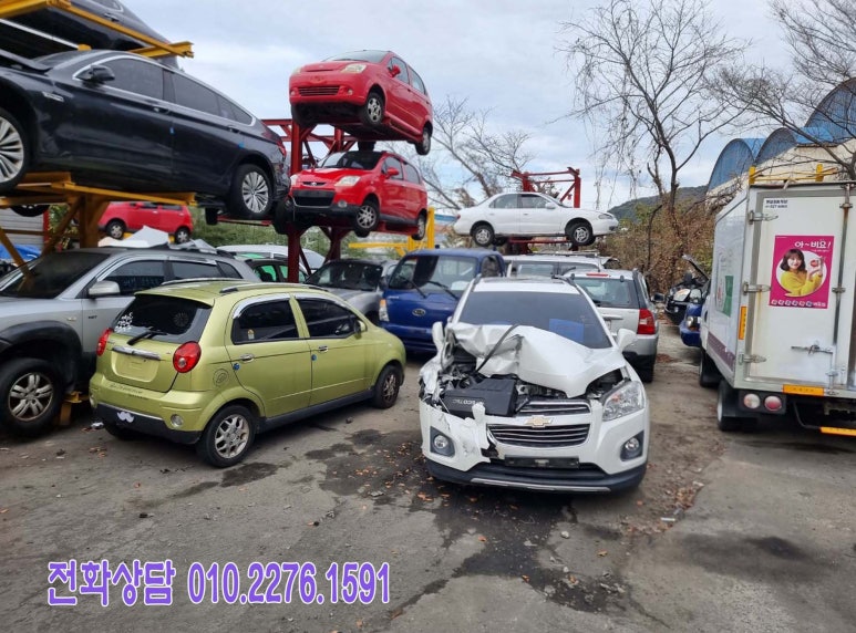 안일카센타 이미지