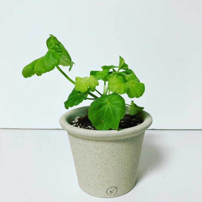 소일섬 이미지