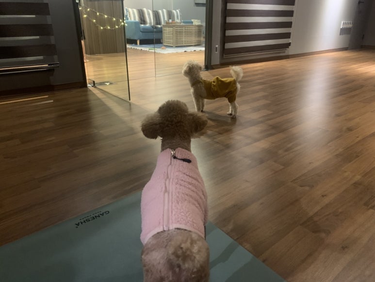 법률사무소전일 이미지