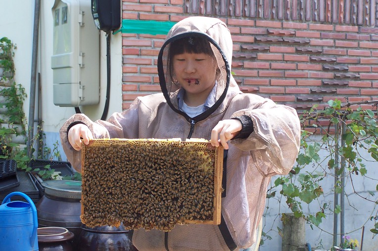 영주소백산벌꿀 이미지