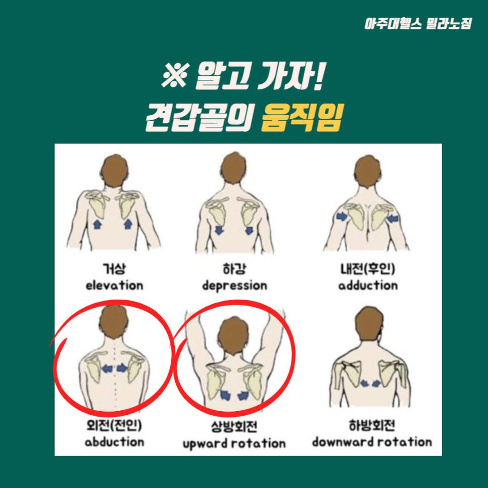 밀라노짐 이미지