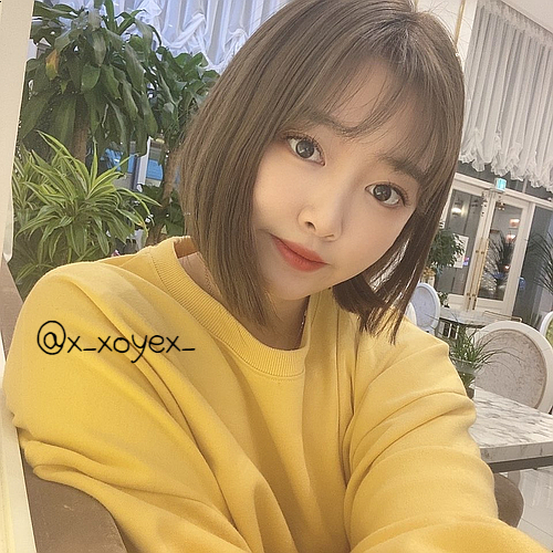 살롱드소이 이미지
