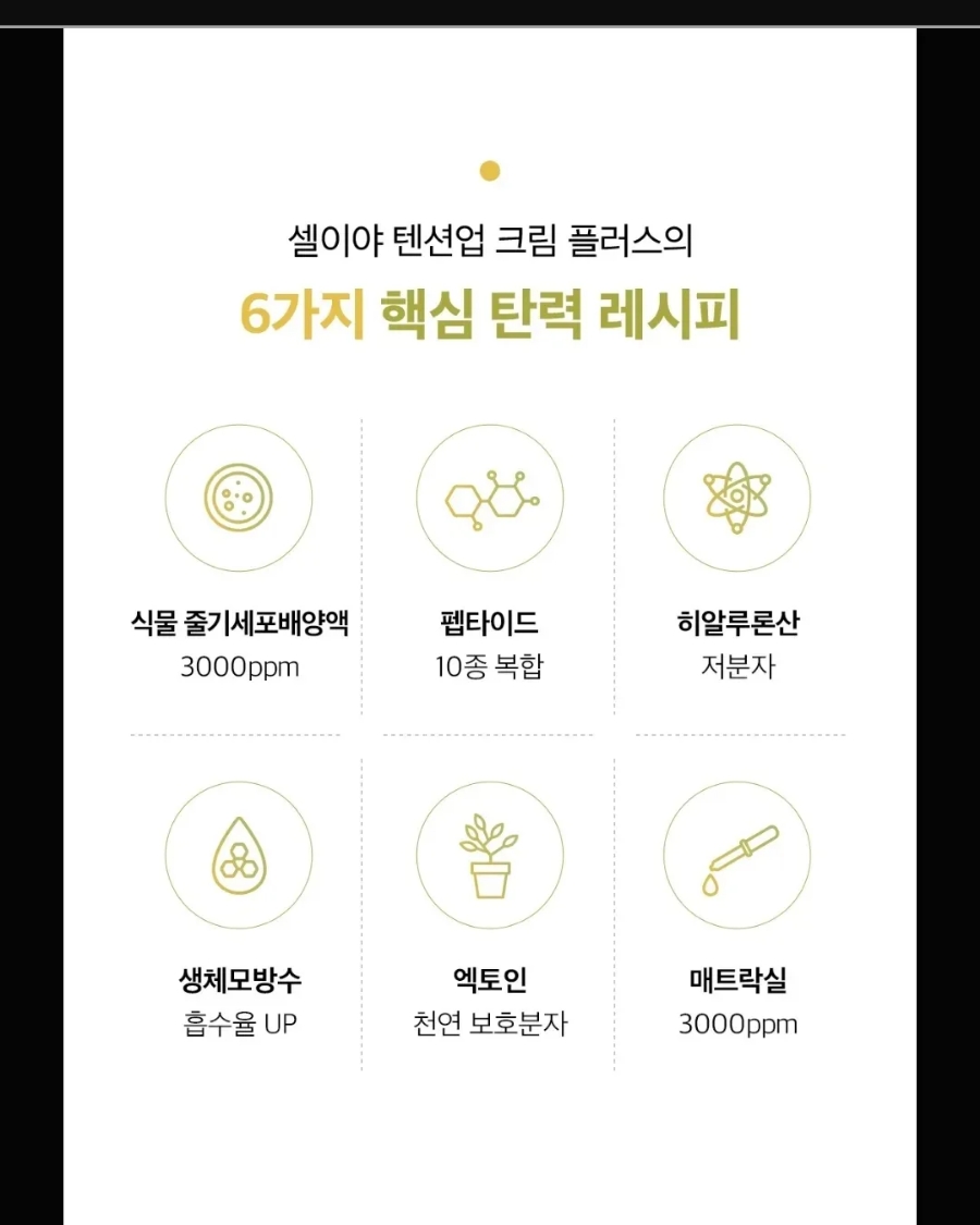 도도인터내셔널 이미지