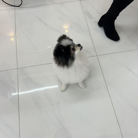 파인드유 이미지