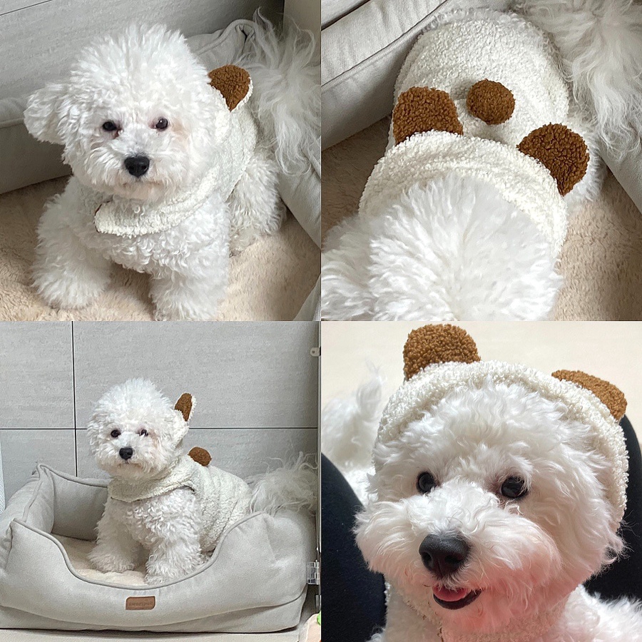 냥츠 이미지