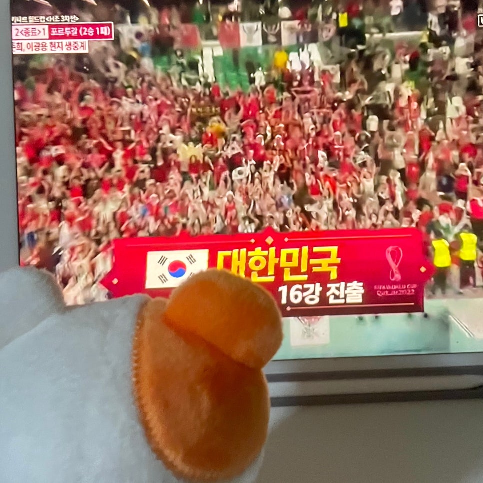 차돌박힌쭈꾸미 이미지