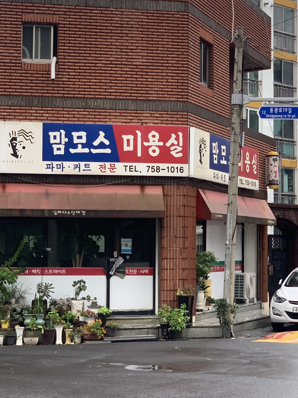 맘모스미용실 이미지