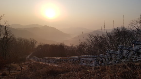 너의봄날 이미지