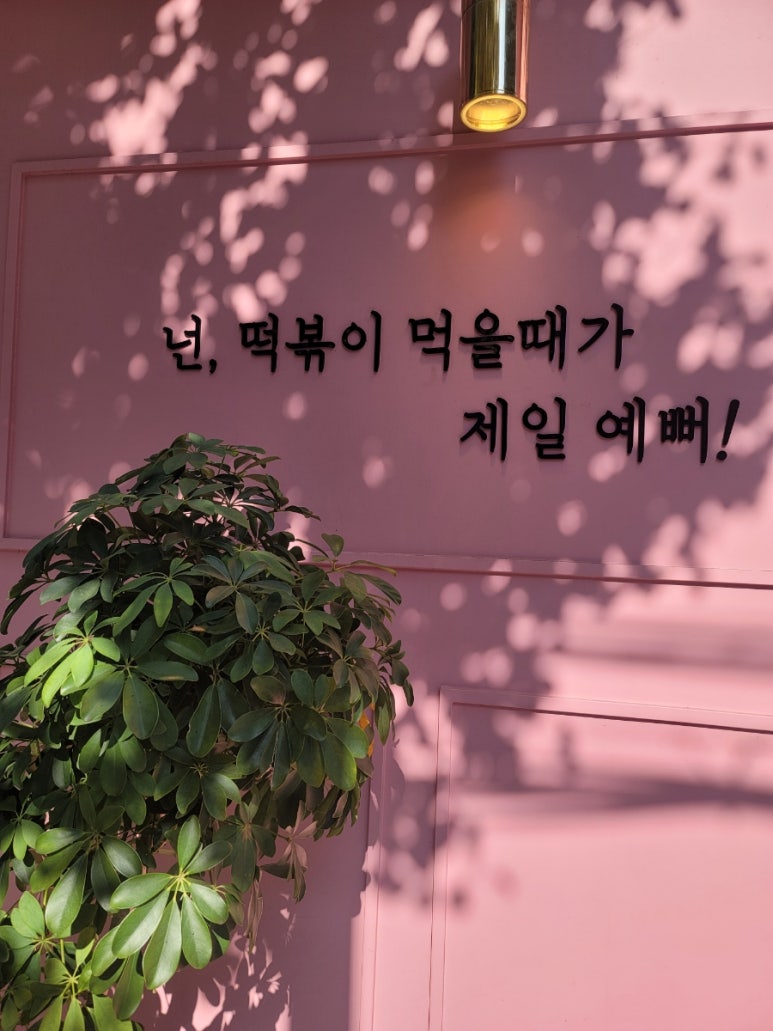 봉구스밥버거동강대점 이미지