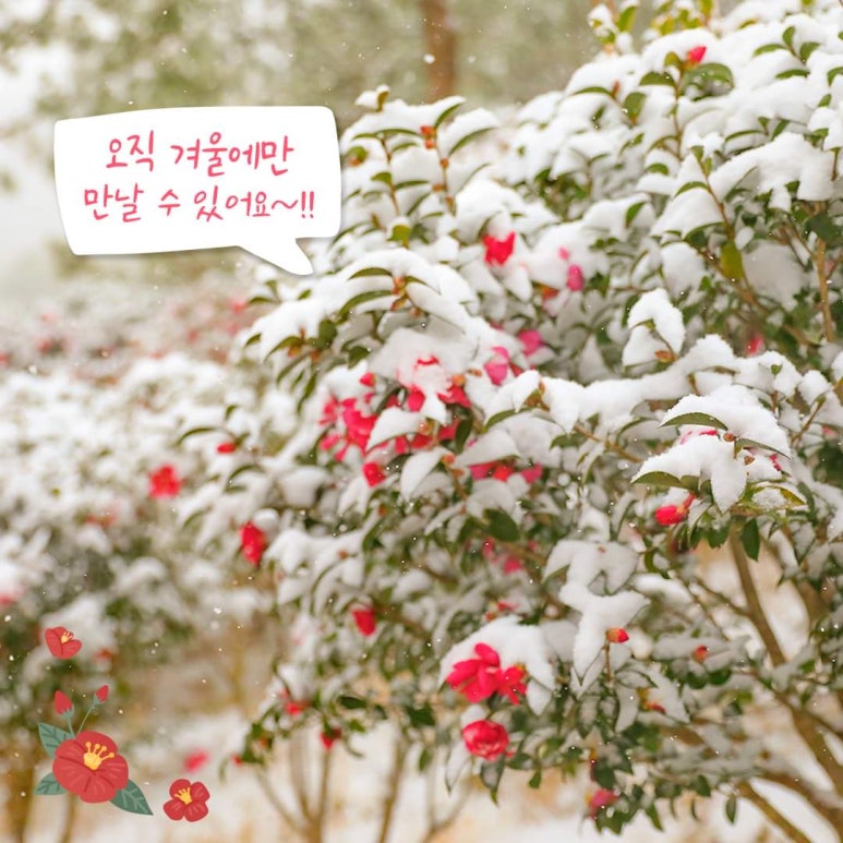 천사의정원 이미지