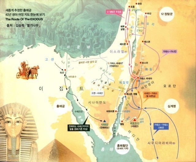 하윌라(Havilah) 이미지