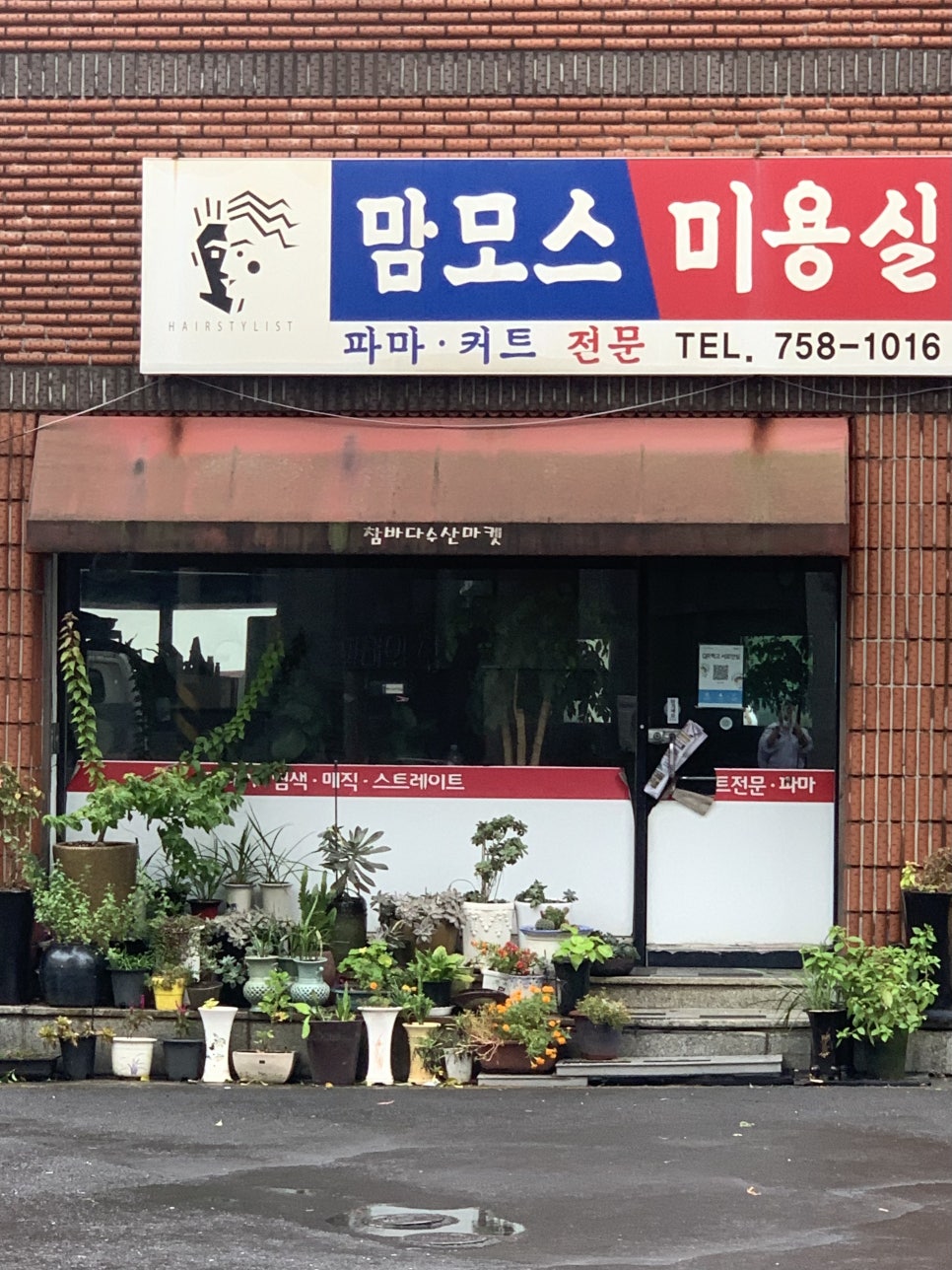 맘모스미용실 이미지