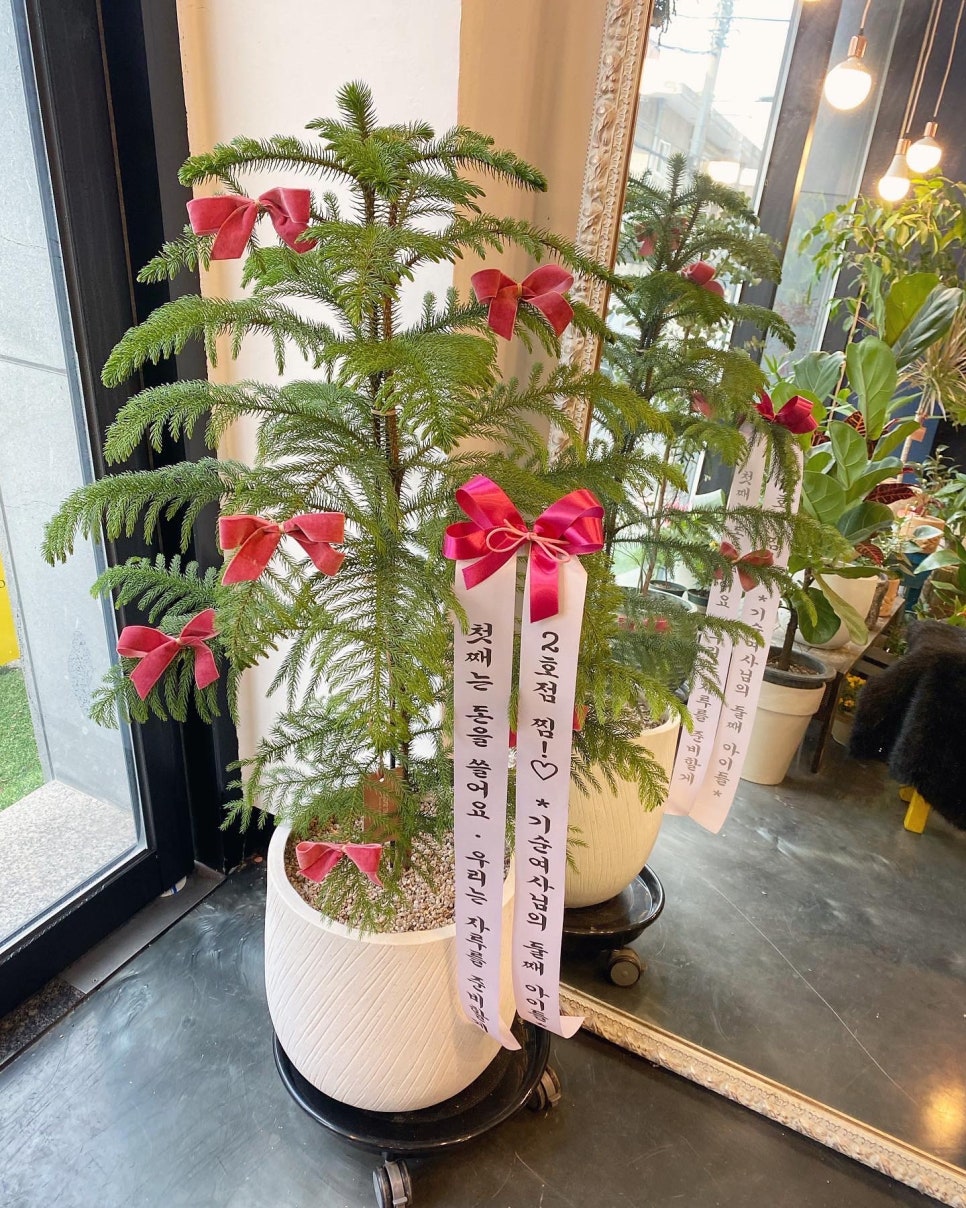 꼿밧 이미지