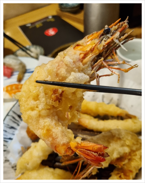 와우스시 이미지